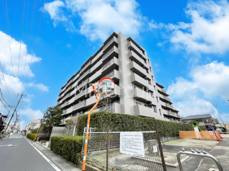 ���n�O�ώʐ^�@��Ƃ肪�Ί�𐶂ސS�n�悢����