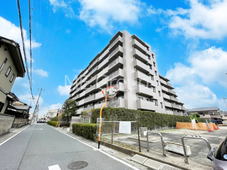 ���n�O�ώʐ^�@��������n�܂�V�����������������܂�