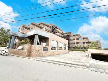 ���n�O�ώʐ^�@����z���ł��Ƒ��̏Ί���P�� 