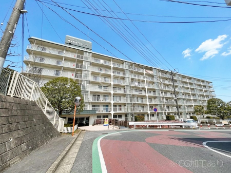 ���n�O�ώʐ^�@����z���ł��Ƒ��̏Ί���P��