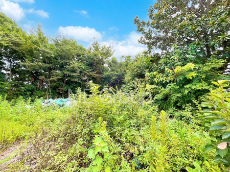 ���n�y�n�ʐ^�@����z���ł��Ƒ��̏Ί���P��  