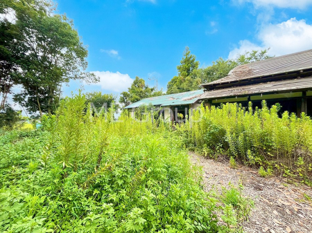 ���n�y�n�ʐ^�@��������n�܂�V�����������������܂�  