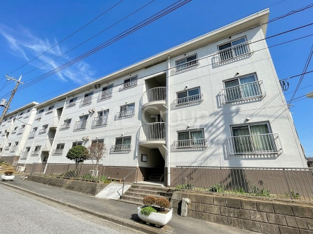 ���n�O�ώʐ^�@����z���ł��Ƒ��̏Ί���P�� 