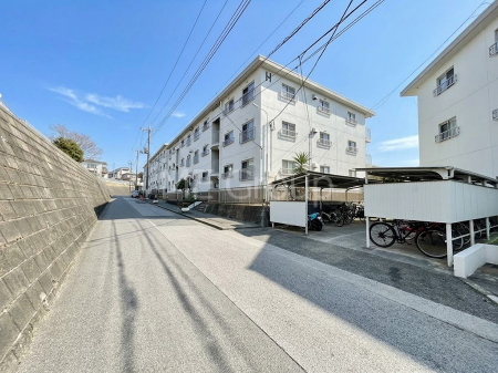 ���n�O�ώʐ^�@��������n�܂�V�����������������܂�