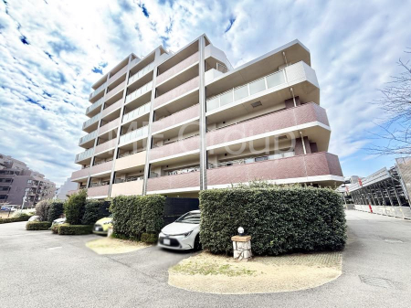 ���n�O�ώʐ^�@��������n�܂�V�����������������܂� 