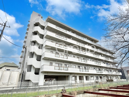 ���n�O�ώʐ^�@��Ƃ肪�Ί�𐶂ސS�n�悢���� 