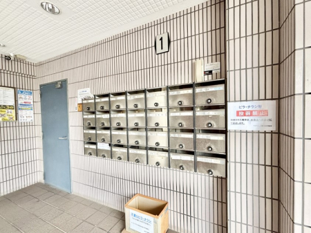 ���̑��@�W���|�X�g