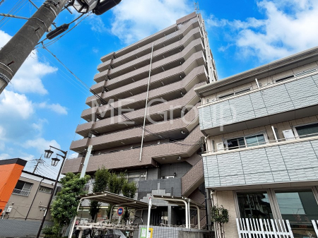 ���n�O�ώʐ^�@����z���ł��Ƒ��̏Ί���P��