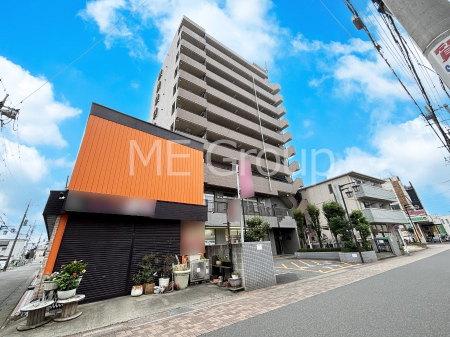 ���n�O�ώʐ^�@��������n�܂�V�����������������܂�