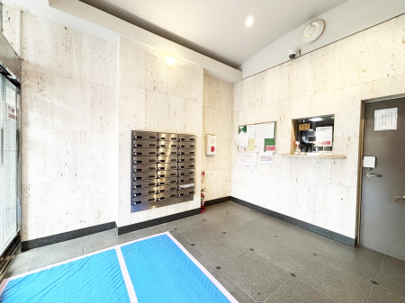 ���̑��@���ꂢ�ɑ|���E��������Ă��郍�r�[