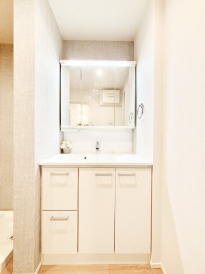 ���ʑ�E���ʏ��@�O�ʋ��L���r�l�b�g�E�V�����[�t�����ʉ��ϑ�ŖZ�������̐g�x�x���X���[�Y�ɁI