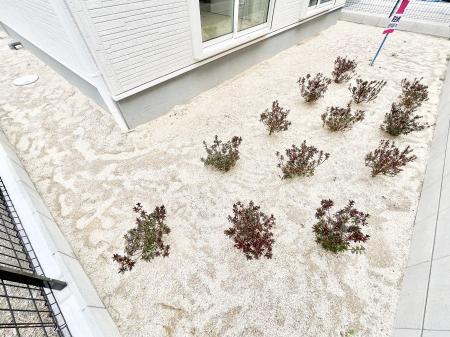 ���̑��@���邳�����Ղ�̂���