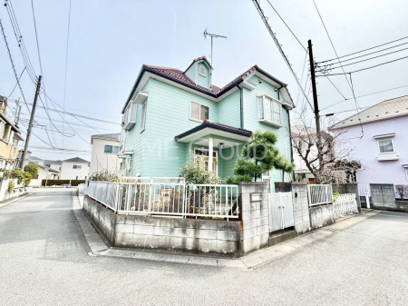 ���n�y�n�ʐ^�@��������n�܂�V�����������������܂�