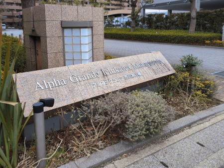 �G���g�����X�@-