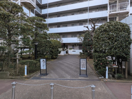 �G���g�����X�@-