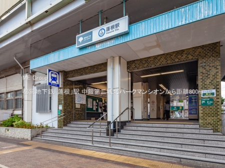 ���ӊ��@�w 800m �s�c�n���S�u�@���v�w