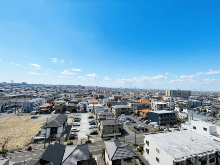 ���̑��@�o���R�j�[����̒��]�ł�