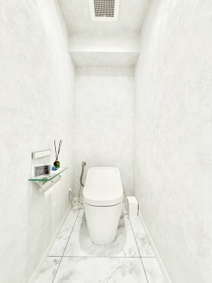 �g�C���@�g�C���͉������@�\�t��