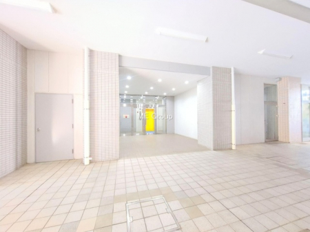 �G���g�����X�@-