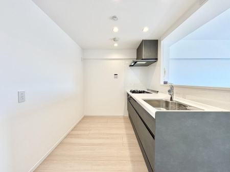 �L�b�`���@��Ƃ肠��L�b�`���X�y�[�X�ł�������H��̌�Еt�����X���[�Y�ɁI