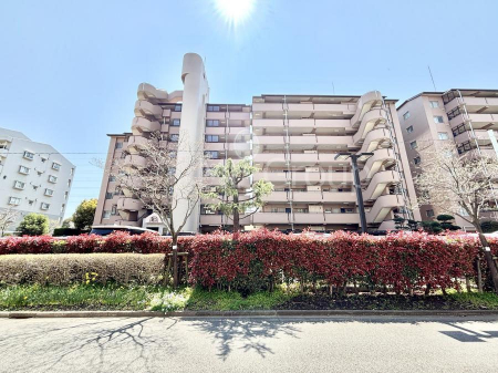 ���n�O�ώʐ^�@����z���ł��Ƒ��̏Ί���P�� 