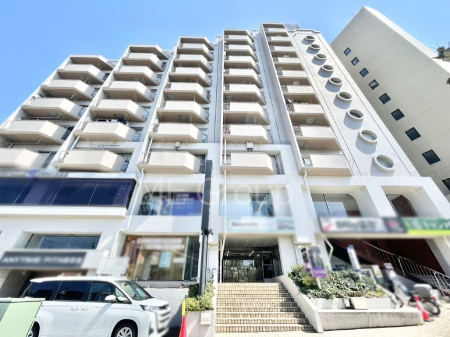 ���n�O�ώʐ^�@����z���ł��Ƒ��̏Ί���P�� 