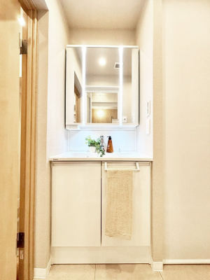 ���ʑ�E���ʏ��@�X�^�C�����O�ɕ֗��ȎO�ʋ��A�~���[�L���r�l�b�g�ōׂ������X�b�L��