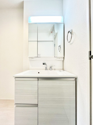 ���ʑ�E���ʏ��@�X�^�C�����O�ɕ֗��ȎO�ʋ��A�~���[�L���r�l�b�g�ōׂ������X�b�L��