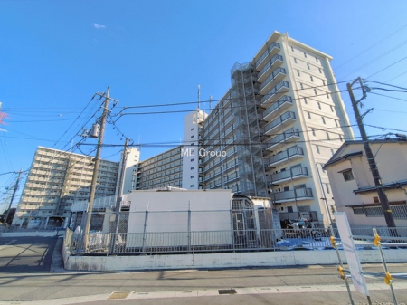 ���n�O�ώʐ^�@-