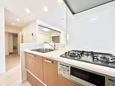 �L�b�`���@�������̂������ŉƑ��̏Ί炪�L����܂��I