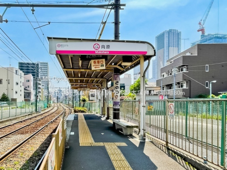 ���ӊ��@�w 80m ����������g�����u�����v�w