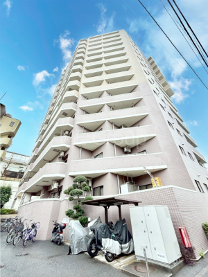 ���n�O�ώʐ^�@��������n�܂�V�����������������܂�