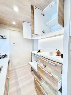 ���̑����ρ@�J�b�v�{�[�h���W�������@�L�X�X�y�[�X�ł��������₷���L�b�`���ł�  