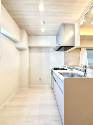 �L�b�`���@��Ƃ肠��L�b�`���X�y�[�X�ł�������H��̌�Еt�����X���[�Y�ɁI