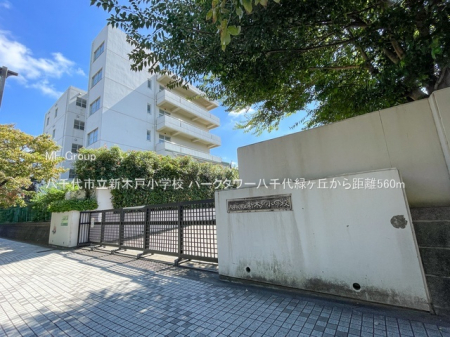 ���ӊ��@���w�Z 560m �����s���V�،ˏ��w�Z