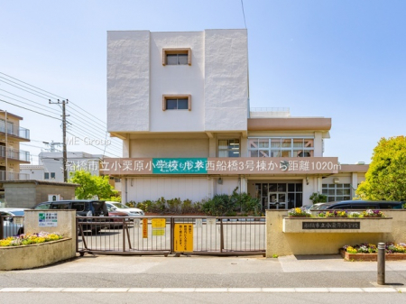 ���ӊ��@���w�Z 1020m �D���s�����I�����w�Z