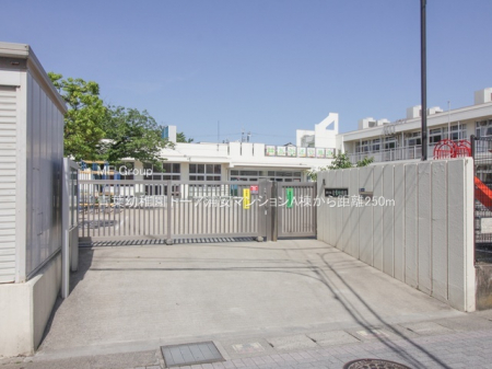 ���ӊ��@�c�t���E�ۈ牀 250m �t�c�t��