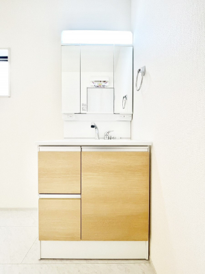 ���ʑ�E���ʏ��@���[�͂Ƌ@�\���ɗD�ꂽ���ʉ��ϑ�