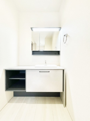 ���ʑ�E���ʏ��@���[�͂Ƌ@�\���ɗD�ꂽ���ʉ��ϑ�