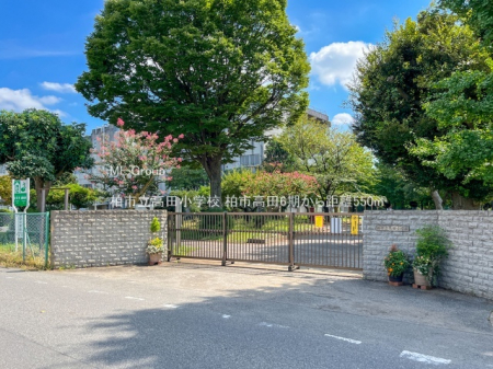 ���ӊ��@���w�Z 550m ���s�����c���w�Z