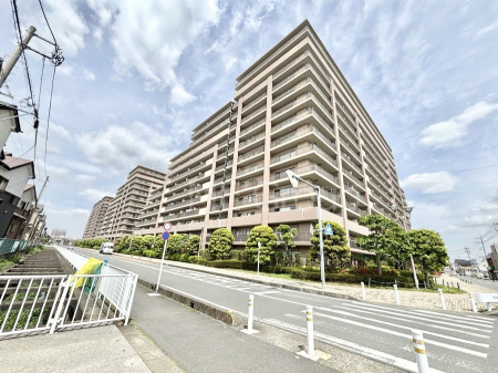 ���n�O�ώʐ^�@����z���ł��Ƒ��̏Ί���P��