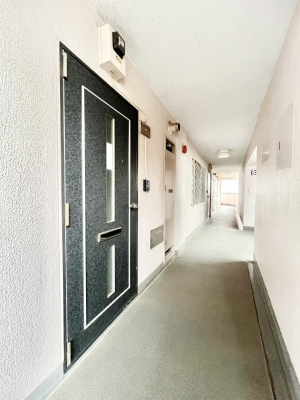 ���ց@�����C�����ǂ��Ƒ��₨�q�l�����o�}��