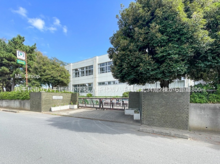 ���ӊ��@���w�Z 800m �����s�������䏬�w�Z