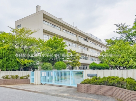 ���ӊ��@���w�Z 800m �t�����s�����ˏ��w�Z