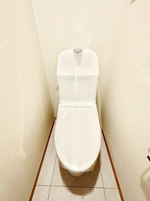 �g�C���@�������̂��锒����Ƃ��������������ԁ@