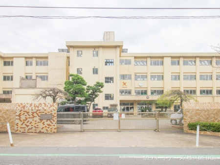���ӊ��@���w�Z 590m �䑷�q�s���䑷�q��l���w�Z