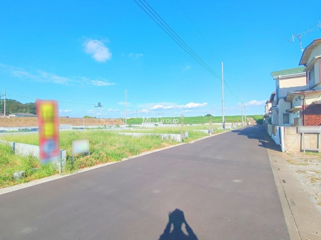 ���n�y�n�ʐ^�@-
