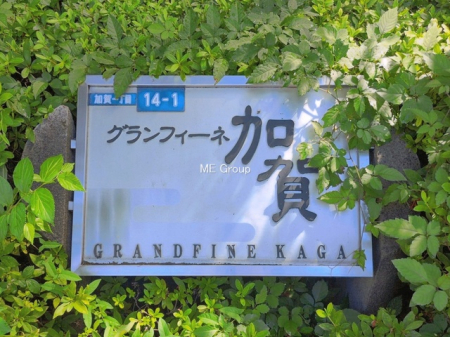 �G���g�����X�@-