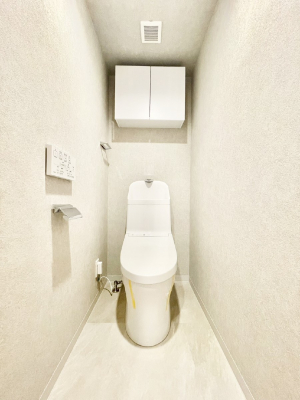 �g�C���@�������̂��锒����Ƃ���������������