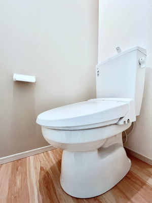 �g�C���@�g�C���͉������@�\�t��